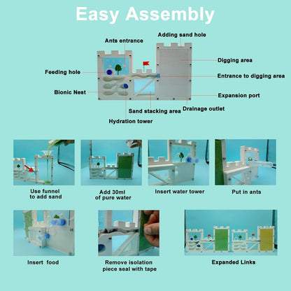 EXBEPE Large Sand Ant Farm Castle,Ant Habitat Ecosystem to Study Ant Colony Behavior Science Educational Kit for Kids