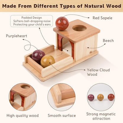 Adena Montessori Wooden Toy for 6-12 Month Baby 3 Balls with Tray, Object Permanence Box Colorful Learning Education Toy for Toddler Kid 1-2 Year Old, Preschool Developmental Girl and Boy Gift