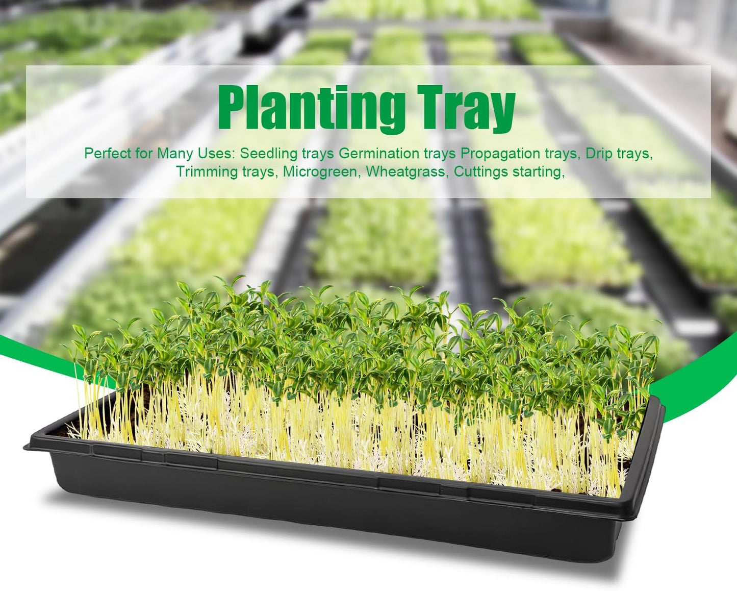 RooTrimmer 10 Pack 1020 Mesh Trays, Extra Strength 1020 Mesh Bottom Trays with Holes, 20'' x 10'', Heavy Duty Propagation Flats for Microgreens, Seed Starting, Soil Blocks, Hydroponics & Wheatgrass