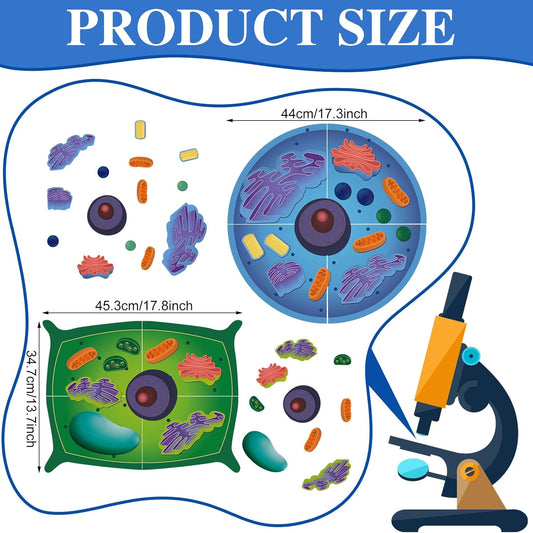 2 Set Magnetic Animal and Plant Cell Anatomy Model Clearly Labeled Animal Cell Model Educational Science Kits for Biology Anatomy and Science Projects Classroom Learning Teaching Aid
