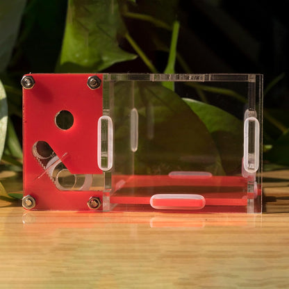 Plaster Test Tube Adult ant Farm Acrylic Transparent ant Observation Behavior Study Live Ants and Queen Education ant nest Small Colony breeding Area Suitable for Children and Enthusiasts Gift