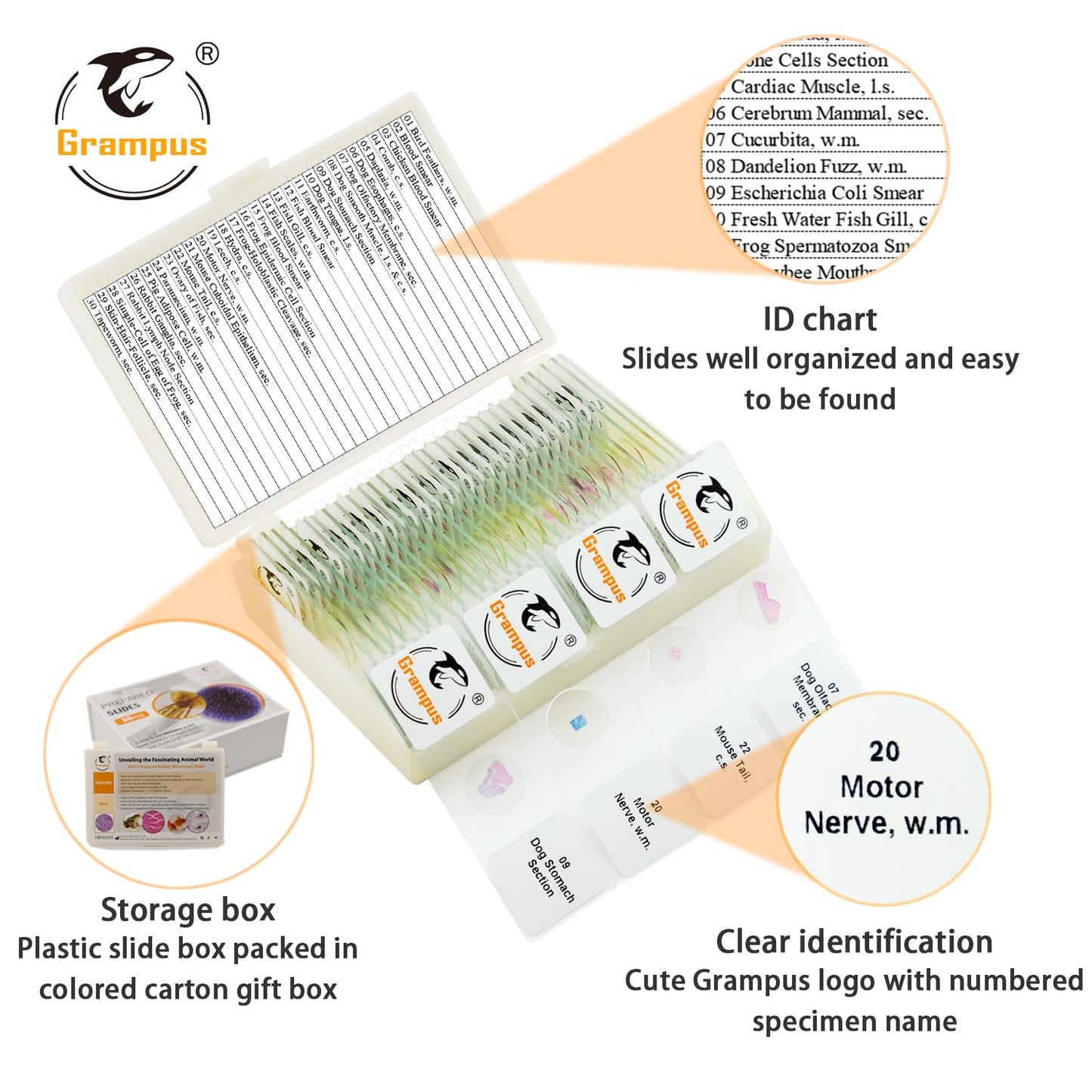 30 Prepared Microscope Slides with Specimens for Kids Students - Plants, for Biological Science Lab, Children's Science Education, Homeschooling Use