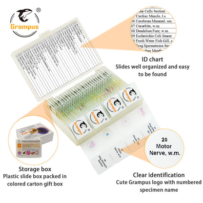 30 Prepared Microscope Slides with Specimens for Kids Students - Plants, for Biological Science Lab, Children's Science Education, Homeschooling Use