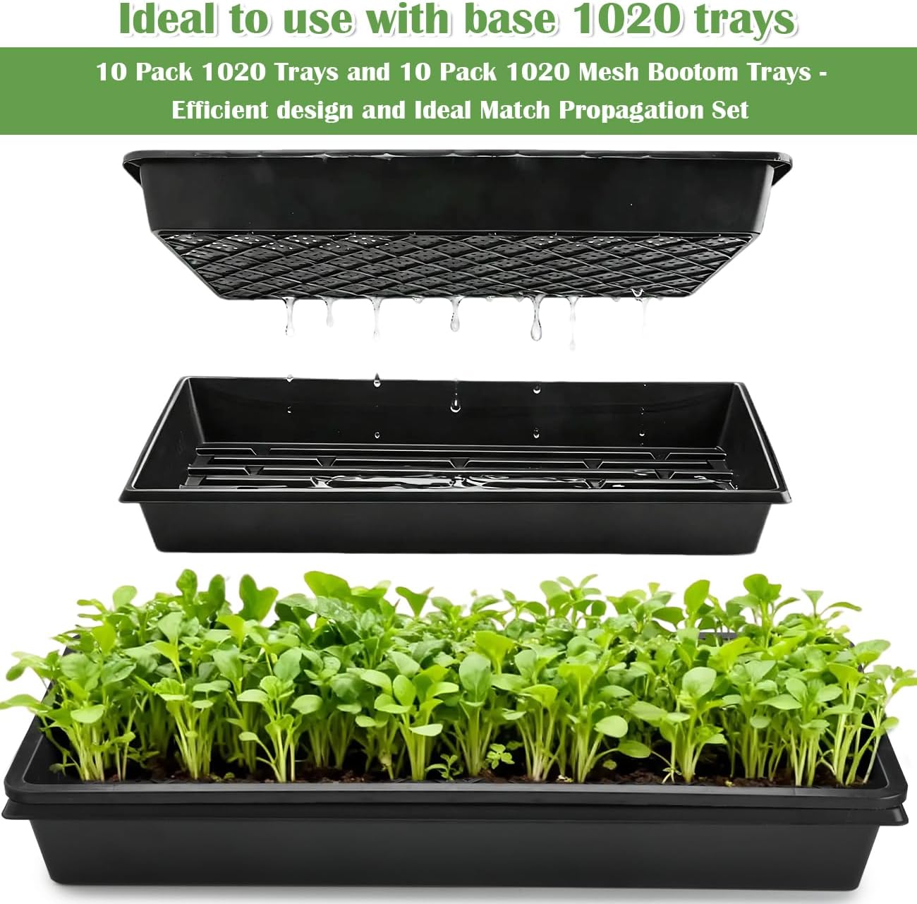 RooTrimmer 10 Pack 1020 Mesh Trays, Extra Strength 1020 Mesh Bottom Trays with Holes, 20'' x 10'', Heavy Duty Propagation Flats for Microgreens, Seed Starting, Soil Blocks, Hydroponics & Wheatgrass