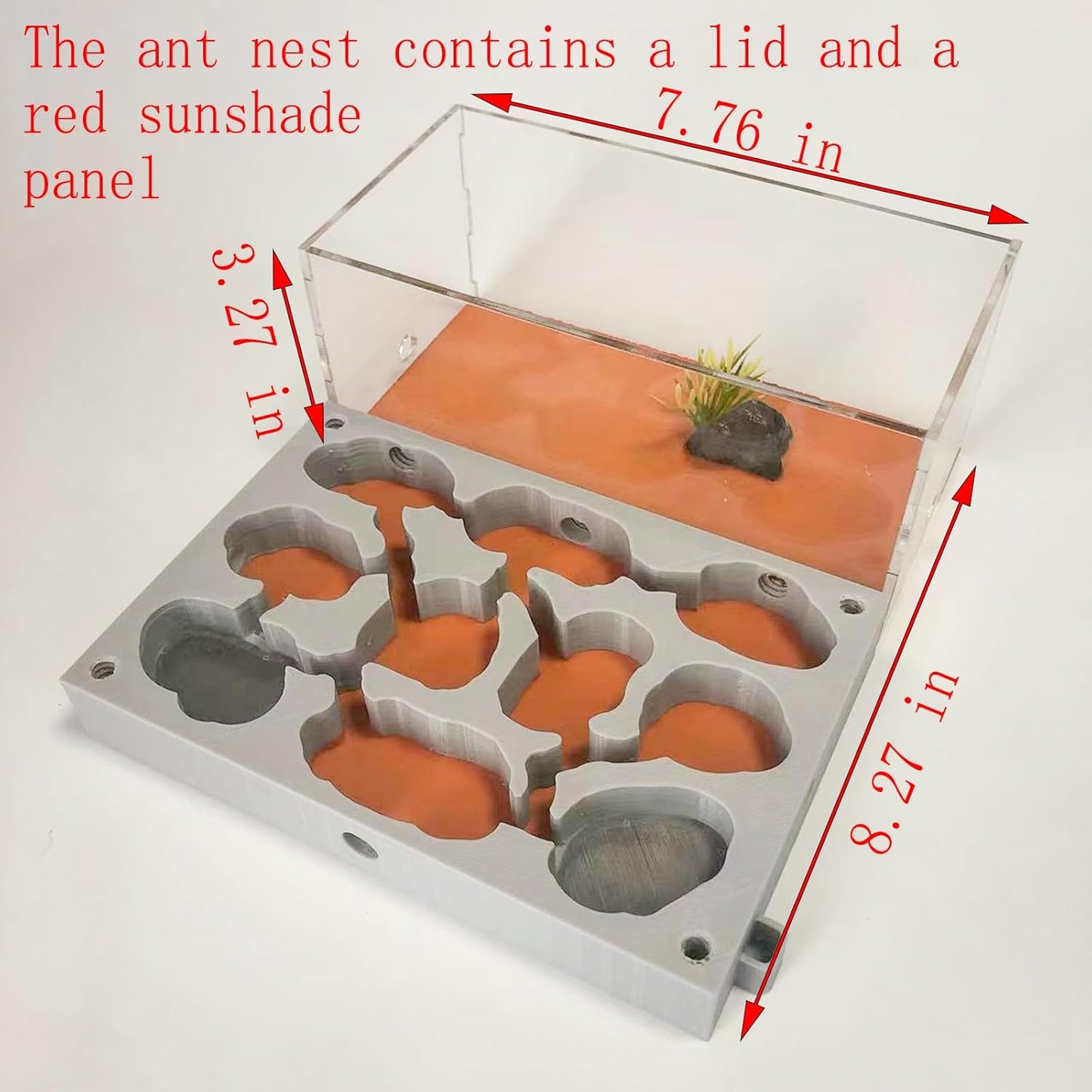 Gypsum Ant Farm New Queen's Nest Acrylic Transparent Ant Observation Behavior Research Live Ants and Queen's Education Ant Nest Suitable for Children and Enthusiasts Gift Giving