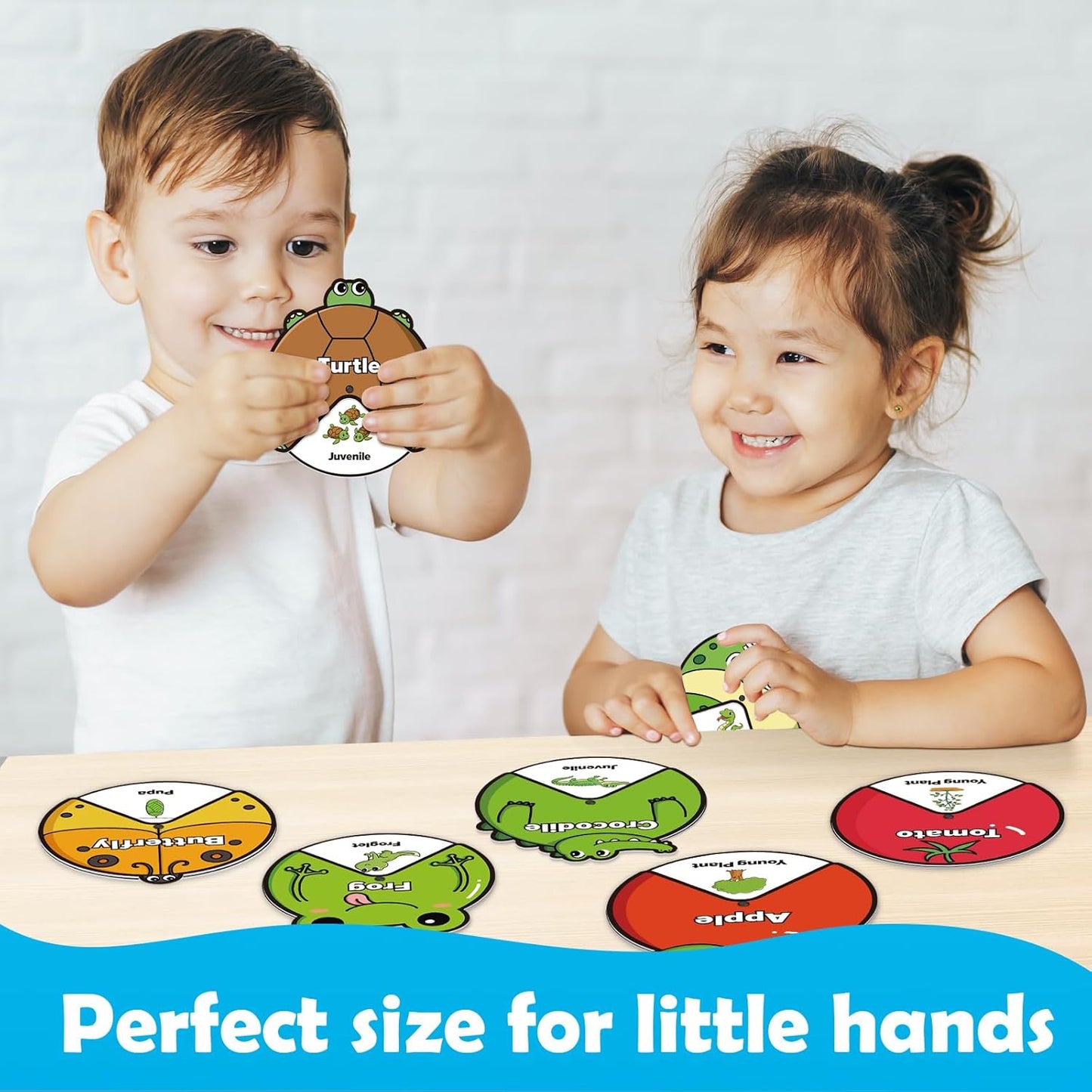 Kasfalci Life Cycle Toys for Kids,Animal Plant Insect Bug Ladybug Butterfly Tadpole to Frog Kit,Montessori Learning & Education Toys,Preschool Science Learning Activities for Toddlers,Board Card Games
