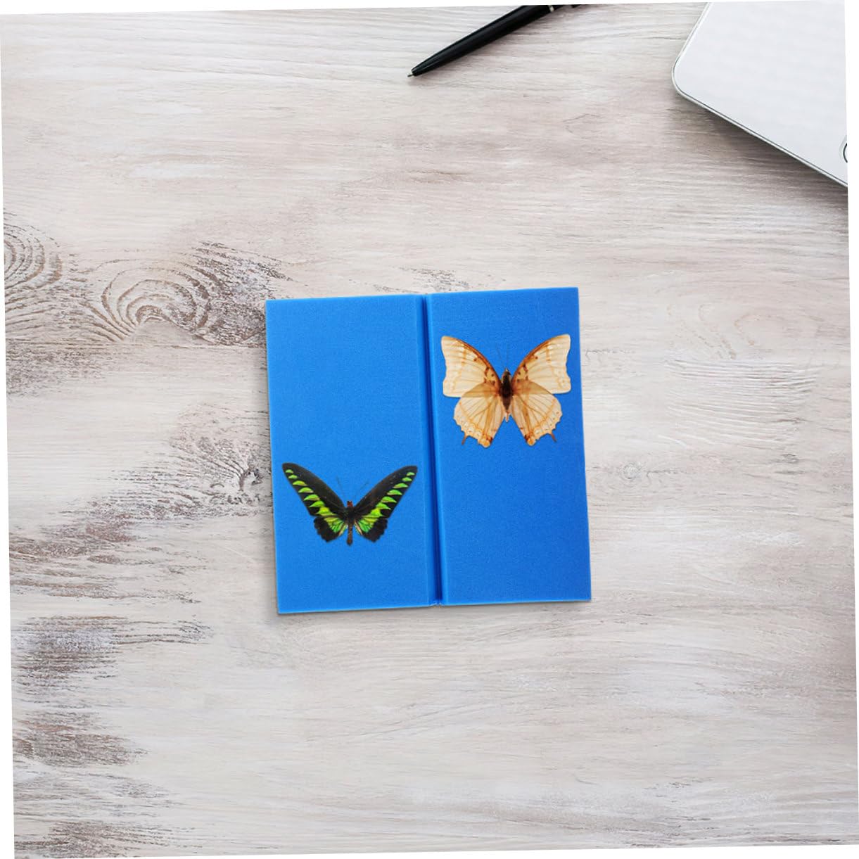 OUNONA 2pcs Eva Butterfly Specimen Spreading Board for High-Density Foam Insect Pinning Tools for Classroom Teaching and Display Museums and Collections
