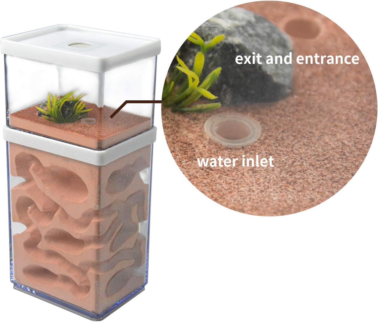Ecological Ant Nest Farm, Ant Castle Ant Formicarium, Transparent Ant House Plaster Ant Nest, Ant Workshop Insect Villa Ant Feeding Box for Ants Study Science Experiment Gift