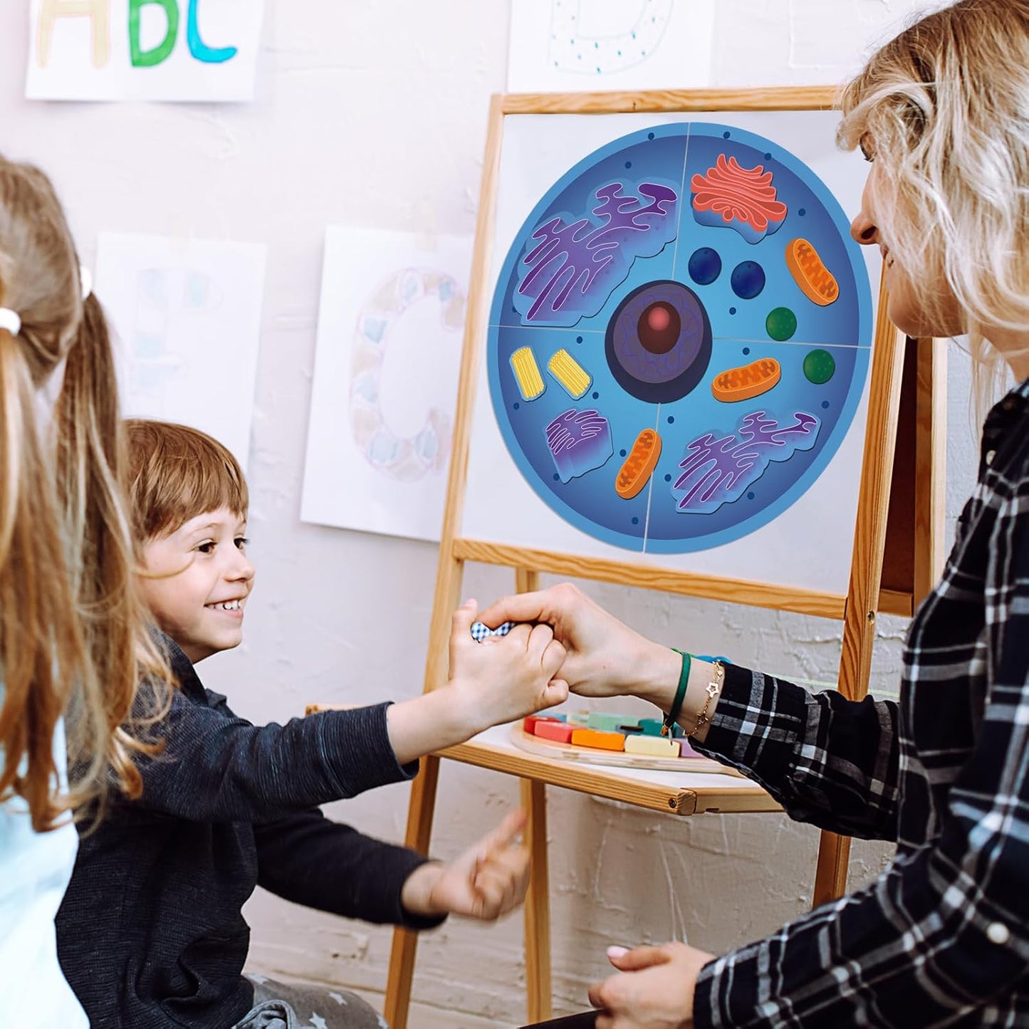 Leitee 18 Pcs Magnetic Plant Cell Model Kits Giant Teaching Resources Early Biology Cell Anatomy Model Life Science Teaching Aid for Whiteboard Learning Tools Educational Classroom Activities