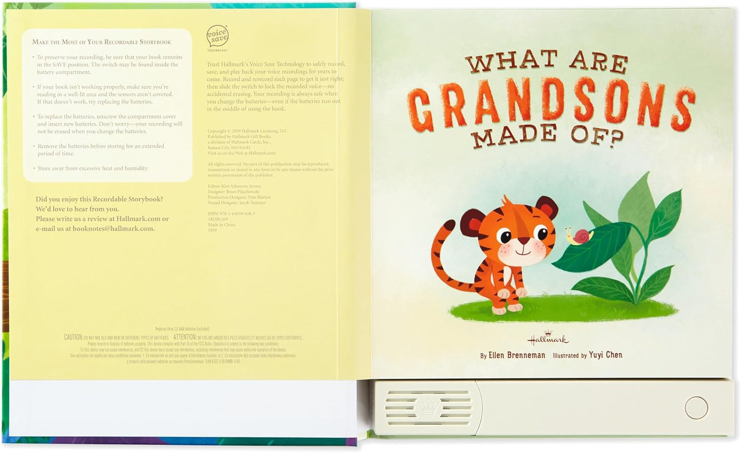 Hallmark Recordable Book for Children (What are Grandsons Made of?) Easter Basket Stuffers