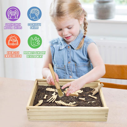 Dinosaur Excavation Archaeology Dig Kit for Kids, Fossil Explore Sensory Bin Toys, Dino Skeletons Bones Puzzle Game, Archaeology Science STEM Toys for Boys and Girls (Stegosaurus)
