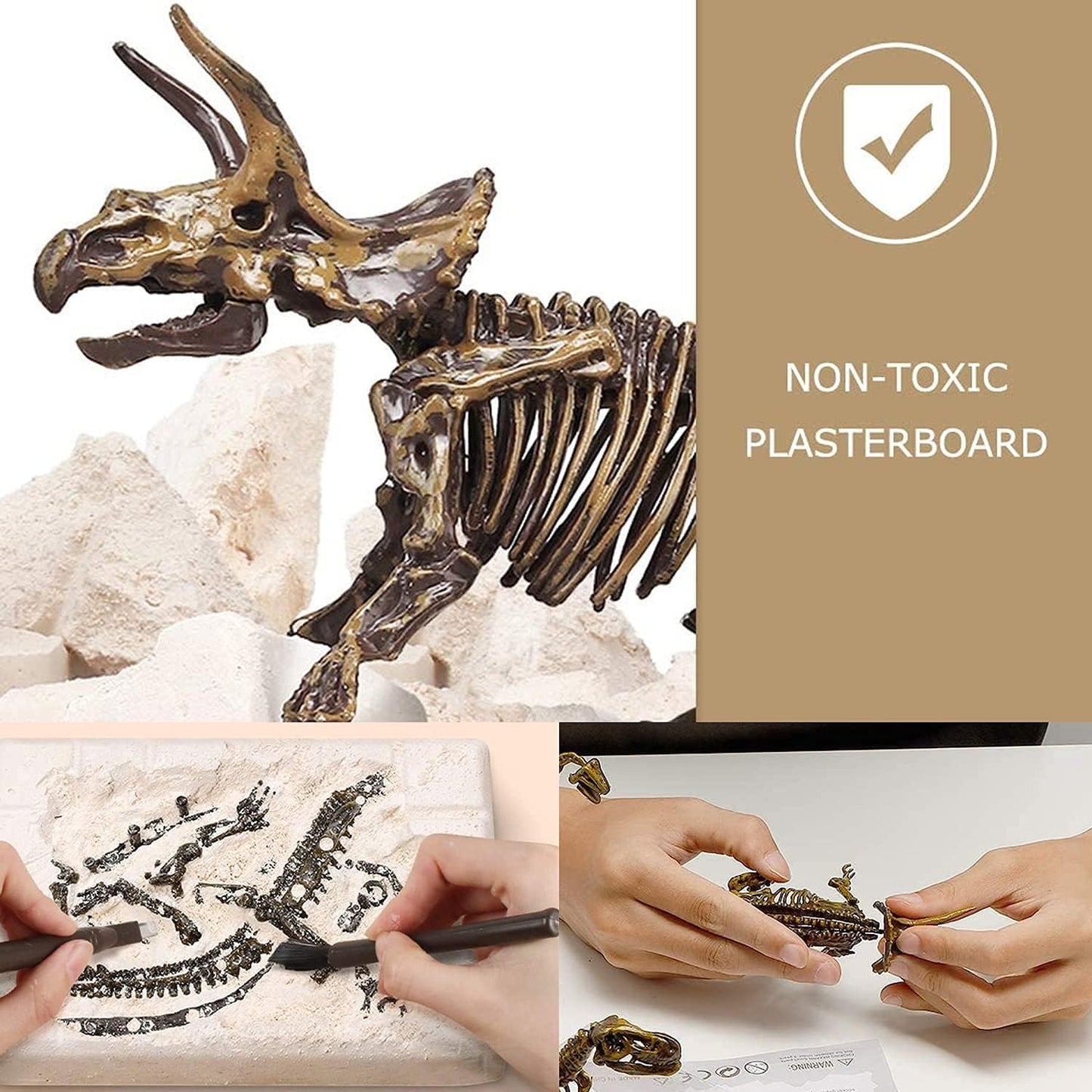 Dig & Discover Dino Tyrannosaurus Rex Dinosaur Skeleton 3D Fossil Bones Excavation, Science Educational Toy Kit for Kids, Children