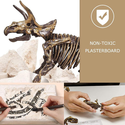 Dig & Discover Dino Tyrannosaurus Rex Dinosaur Skeleton 3D Fossil Bones Excavation, Science Educational Toy Kit for Kids, Children
