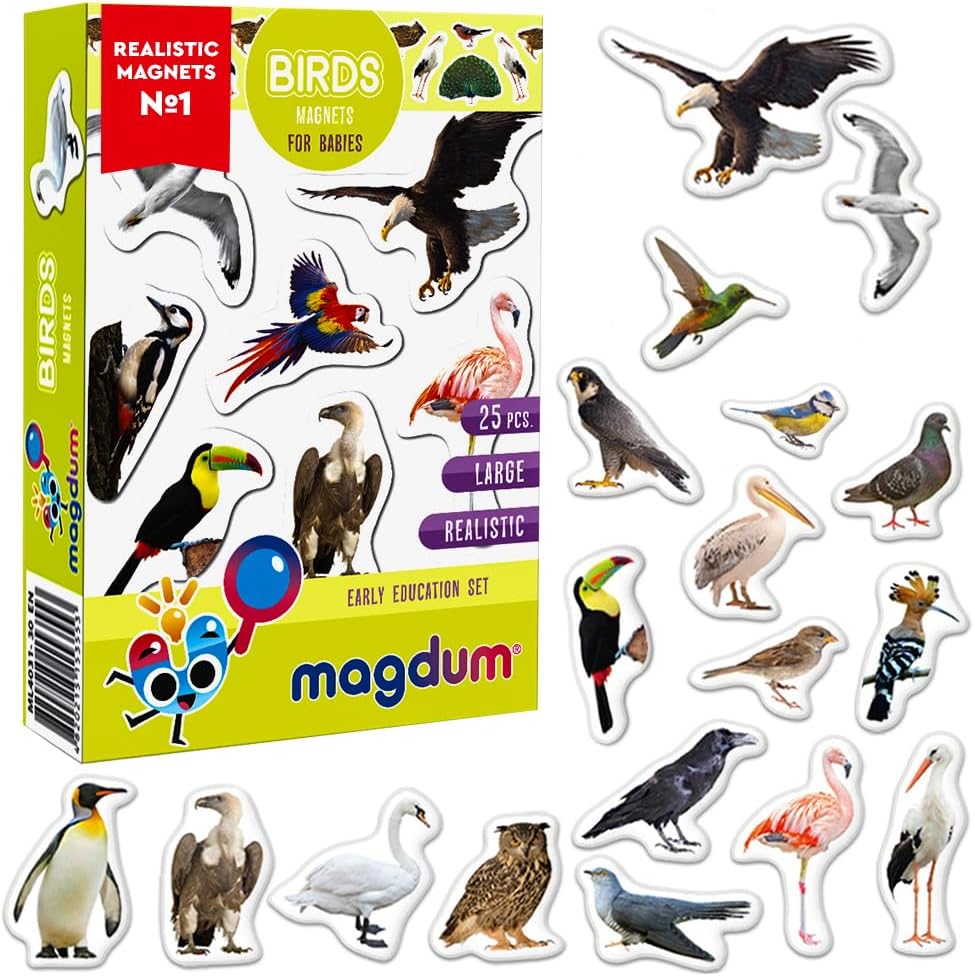 25 Fridge Magnets for Toddlers - Birds Photo Kids Magnets for Refrigerator – Real Magnetic Animals for Children – Big Realistic Magnet for Kids - Learning Toy Set - Baby Educational Gift