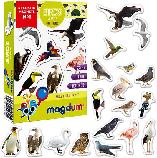 25 Fridge Magnets for Toddlers - Birds Photo Kids Magnets for Refrigerator – Real Magnetic Animals for Children – Big Realistic Magnet for Kids - Learning Toy Set - Baby Educational Gift