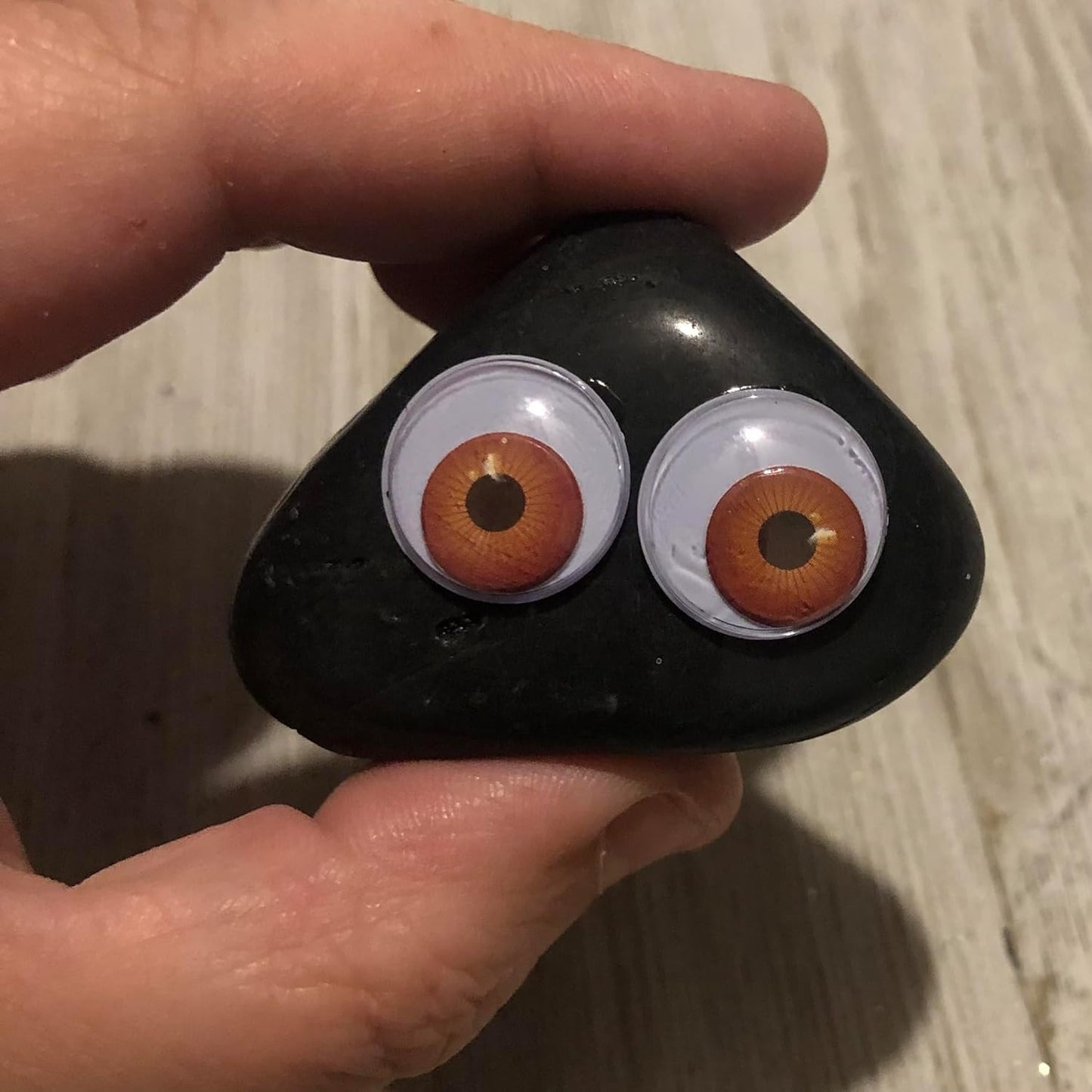Rock Pet Adoption Kit Funny Novelty Gag Gift (Green Eyes)