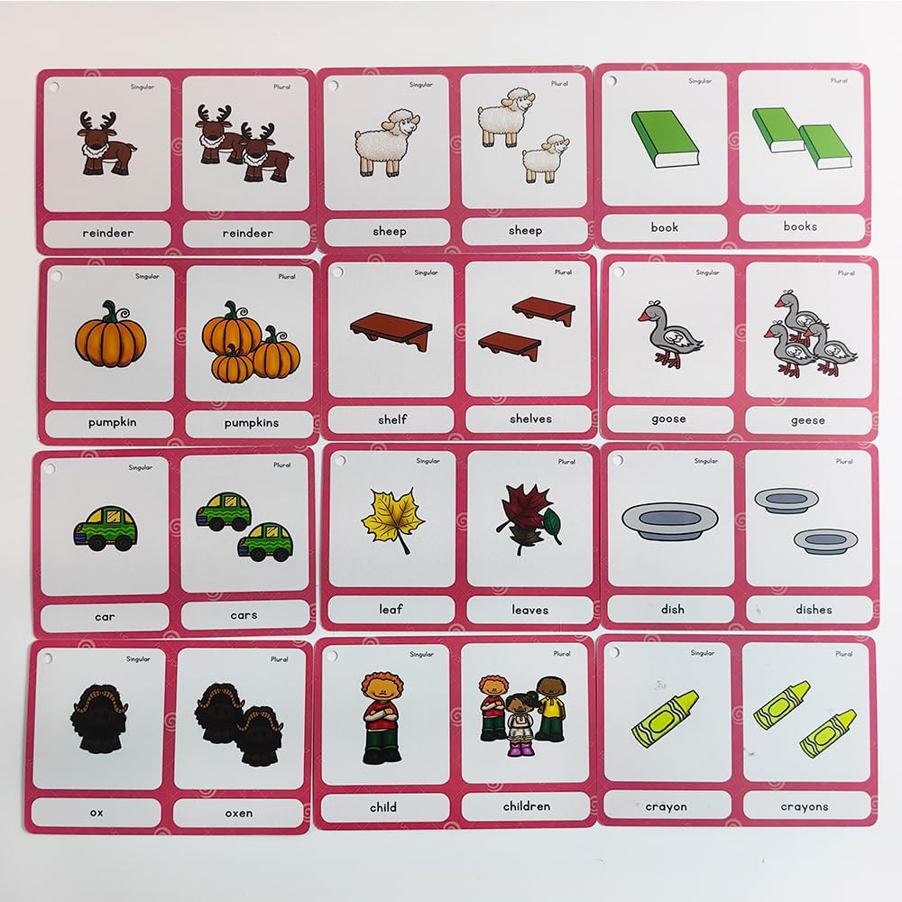 Lilias Irregular Past Tense Verbs English Grammar Double-Side Learning Flash Cards - 24 Card Set for Homeschool, Preschool, Primary School, ESL, Autism, Vocabulary Building