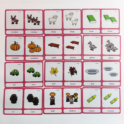 Lilias Irregular Past Tense Verbs English Grammar Double-Side Learning Flash Cards - 24 Card Set for Homeschool, Preschool, Primary School, ESL, Autism, Vocabulary Building
