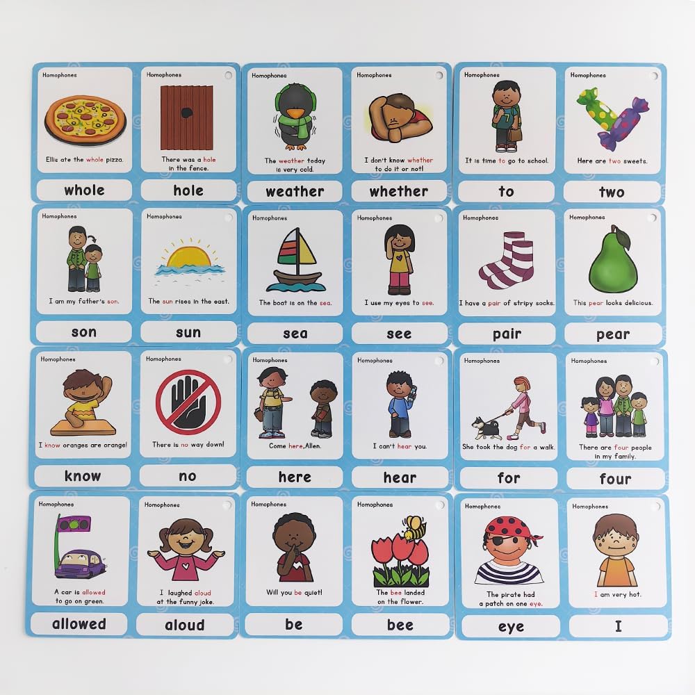 Lilias Irregular Past Tense Verbs English Grammar Double-Side Learning Flash Cards - 24 Card Set for Homeschool, Preschool, Primary School, ESL, Autism, Vocabulary Building