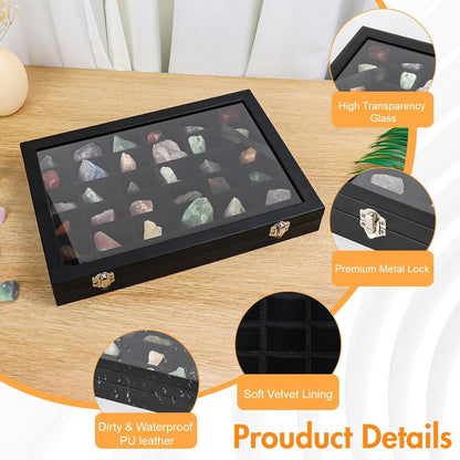 Rock Collection Box for Kids - Display Case for Collectibles - Storage and Display Shelf - Generation 2