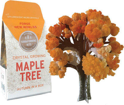 Copernicus Toys Crystal Growing Maple | Tree Official Terraformer kit | Grows in Hours