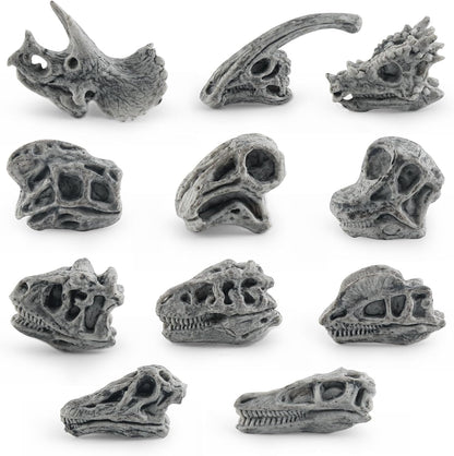 LC JoyCre Mini Dinosaur Bones for Kids Sandbox Toys - Realistic Fake Dinosaur Bones for Kids to Dig Up