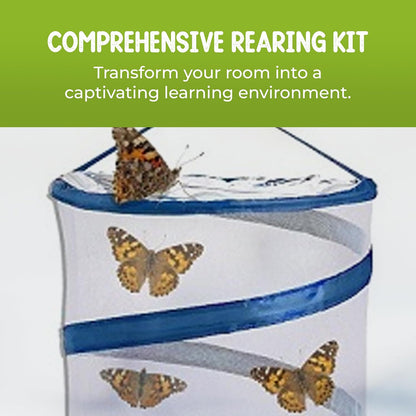 30 Live Caterpillars for Butterfly Habitat Kit - Refill for Painted Lady Butterfly Kit with Caterpillar Food, Instructions - Educational Science Kit, 6 Cups of 5 Caterpillars