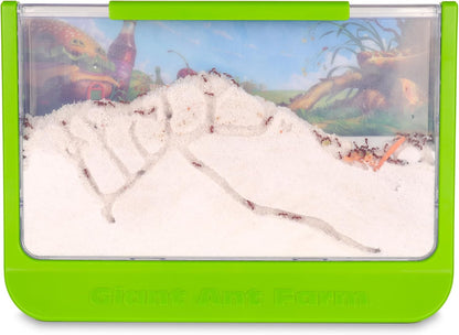 Uncle Milton Giant Ant Farm - Large Viewing Area - Care for Live Ants - Nature Learning Toy - Science DIY Toy Kit - Great Gift for Boys & Girls, Green