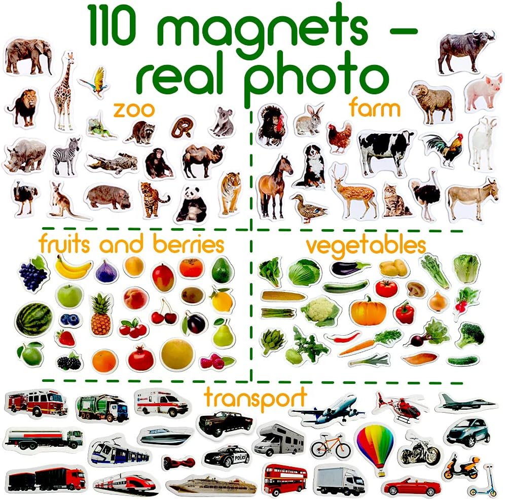 25 Fridge Magnets for Toddlers - Birds Photo Kids Magnets for Refrigerator – Real Magnetic Animals for Children – Big Realistic Magnet for Kids - Learning Toy Set - Baby Educational Gift