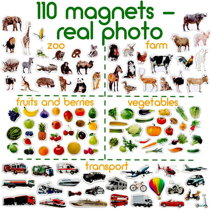 25 Fridge Magnets for Toddlers - Birds Photo Kids Magnets for Refrigerator – Real Magnetic Animals for Children – Big Realistic Magnet for Kids - Learning Toy Set - Baby Educational Gift