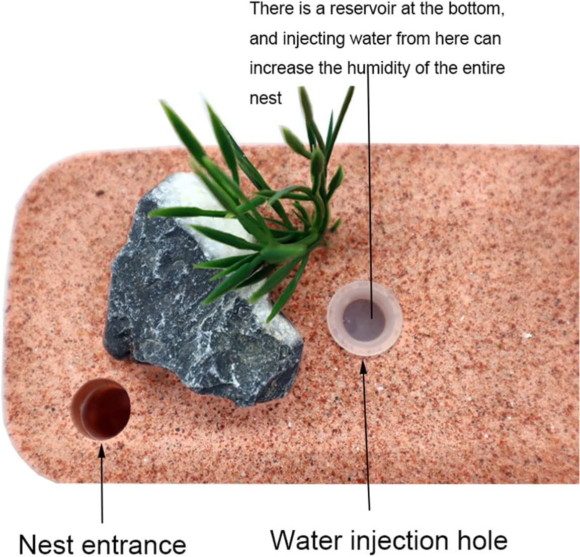 YKLL Ant Farm Highly Moisturizing Ant Nest Ant Farm Plaster Insect Box Pet Anthill Castle Natural Ecological Workshop Ant House 12 * 6 * 10cm Unique Gifts