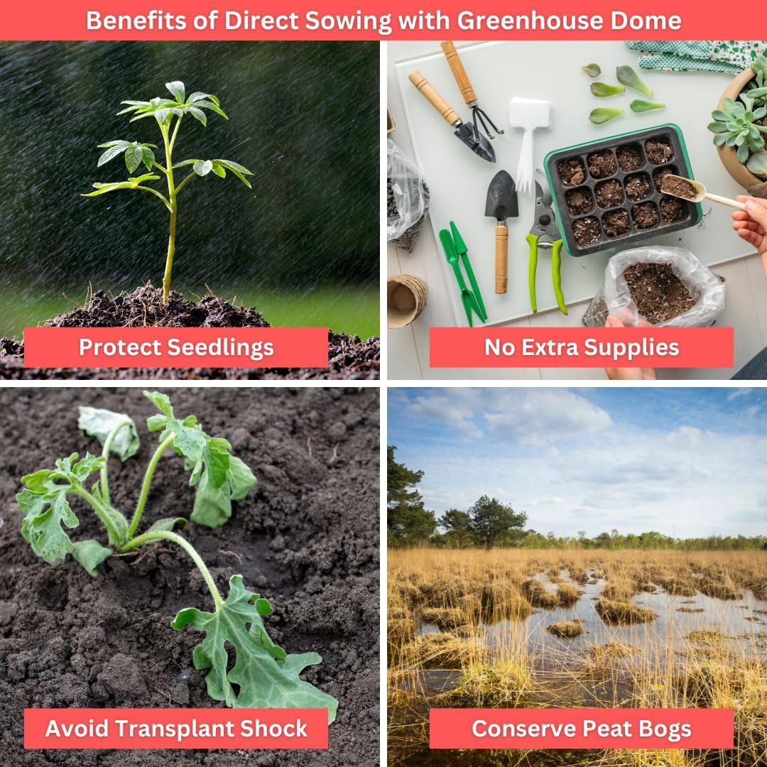Kids Sunflower Garden Kit – Grow Your Own Sunflowers from Seeds with Greenhouse Germination Domes & Grow Rings, Non-GMO Seeds, BPA-Free | Gardening Gift for Kids & Families, Made in USA