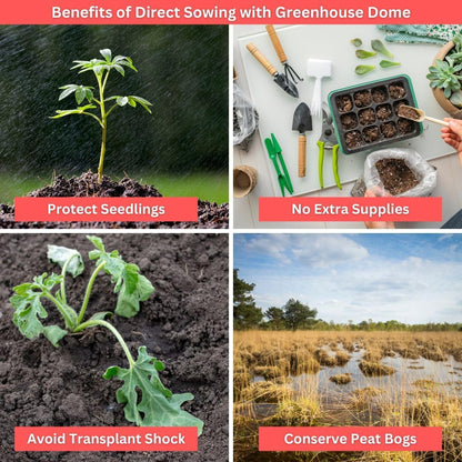 Kids Sunflower Garden Kit – Grow Your Own Sunflowers from Seeds with Greenhouse Germination Domes & Grow Rings, Non-GMO Seeds, BPA-Free | Gardening Gift for Kids & Families, Made in USA