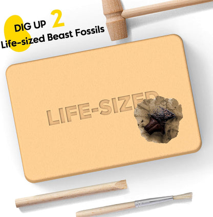 Dinosaur Dig Kit - Excavate 2 Life-Sized Fossils (T.Rex Claw & Ankylosaurus Spine) - STEM Authenticated Science Toy with Tools & Display Frame - Gifts for Boys & Girls Ages 6-12