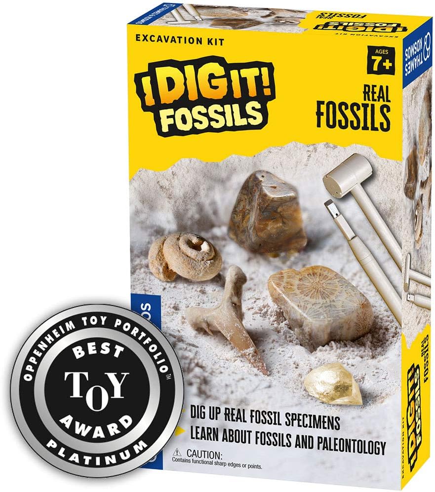 Thames & Kosmos I Dig It! Rocks - Real Minerals Excavation Kit | Science Kit | Dig Up Real Mineral Specimens | Learn About Mineralogy & Geology | 2018 Oppenheim Toy Portfolio Platinum Award Winner