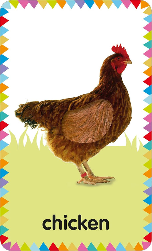 My First Touch and Feel Picture Cards: Farm (My First Board Books)