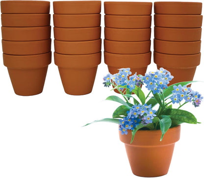 BUZZY Seeds Terracotta Mini Grow Pots – Herb Flower Plant Starter Kit Assorted 20-Pack with Lavender Seeds, Indoor Grow Your Own Gardening Gift for DIY Projects and Party Favors