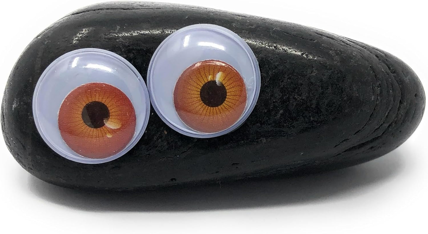 Rock Pet Adoption Kit Funny Novelty Gag Gift (Green Eyes)