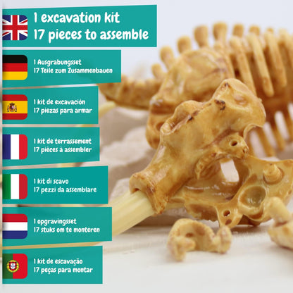 Science4you Triceratops Dinosaur Fossil Digging Kit - Excavate and Assemble 10 Dino Bones, Dinosaur Archeology and Paleontologist Toys, Games, Gifts for Boys and Girls Age 6 7 8 9 10+