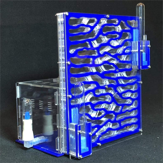 19.5 * 15 * 22cm Large Viewing Area - Care for Live Ants,moisturing arylic ant Habitat for STEM Learning (Green)