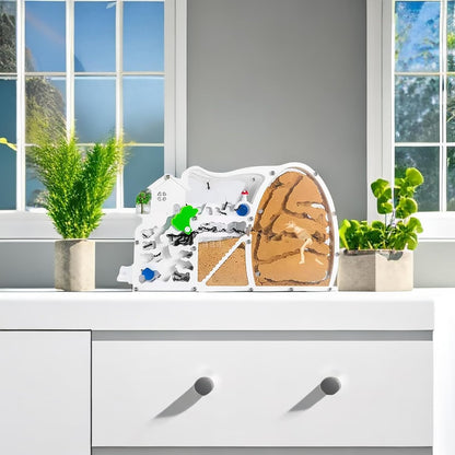 EXBEPE Large Sand Ant Farm Castle,Ant Habitat with Dinosaur Digging to Study Ant Colony Ecosystem Behavior,Science Educational Gift for Kids