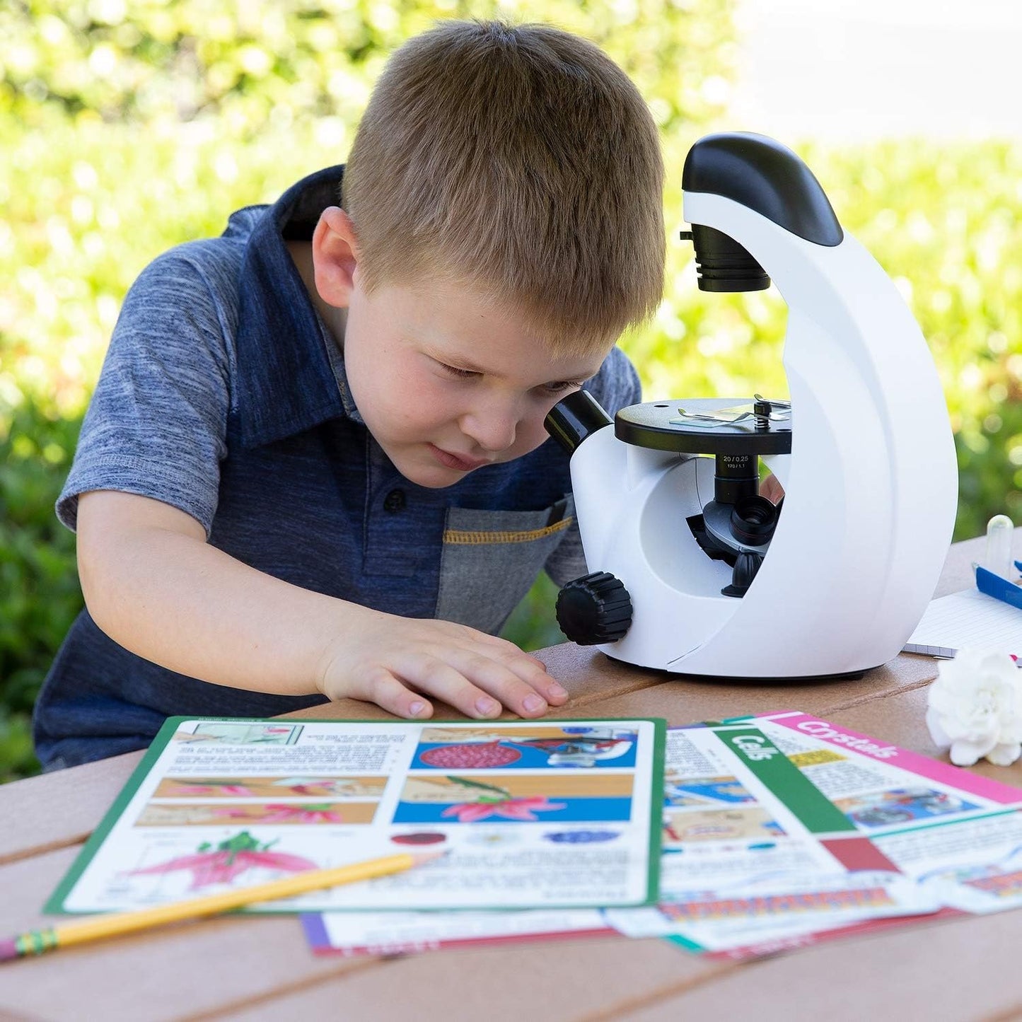 IQCrew - Microscope Experiment & Activity Cards for Kids & Students - Microscopic Adventures (Set of 6 Experiment Cards) - BK-EXCL1