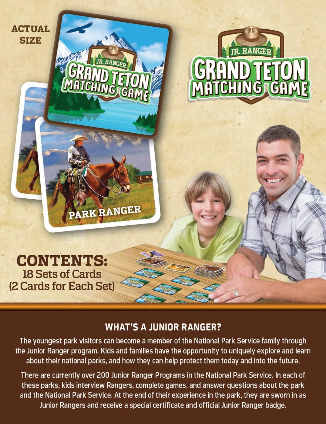 MasterPieces Officially Licensed CAT Picture Matching Card Game for Kids and Families