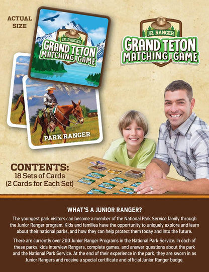 MasterPieces Officially Licensed CAT Picture Matching Card Game for Kids and Families
