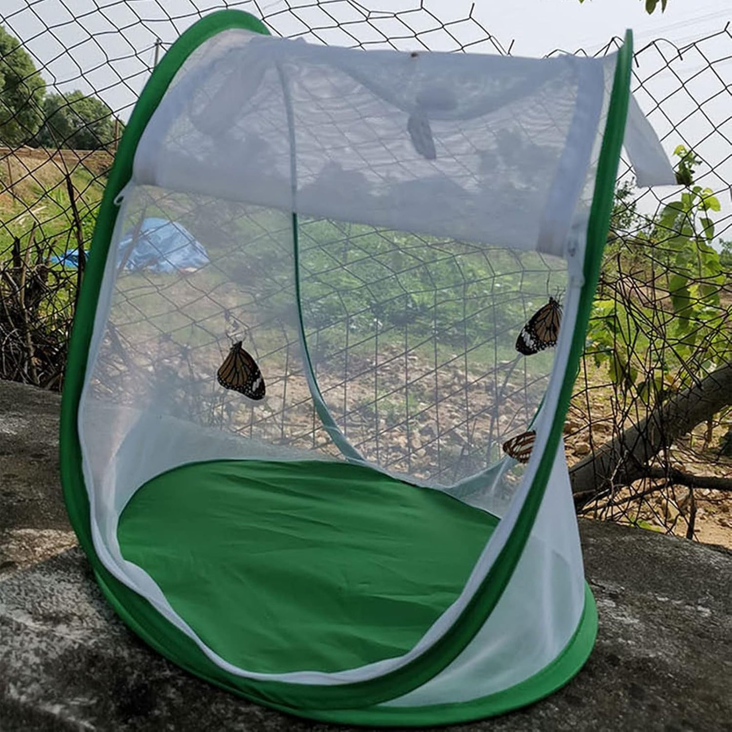 Outdoor Large Butterfly Net Habitat, Collapsible Caterpillar Growing Mesh Cage Terrarium for Observation Feeding