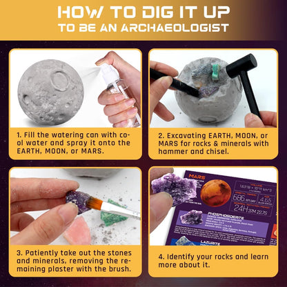 PIBEX Ocean Fossil Dig Kit, Dig up 20+ Real Shells & Seasnails, STEM Educational Activity Set Sea Creatures Excavation Toy for Kids, Marine Biology Geology Science Kit, Gift for Boys and Girls Age 6+