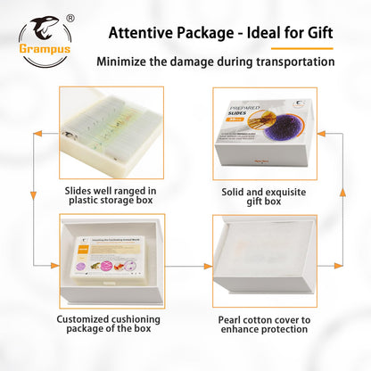 30 Prepared Microscope Slides with Specimens for Kids Students - Plants, for Biological Science Lab, Children's Science Education, Homeschooling Use