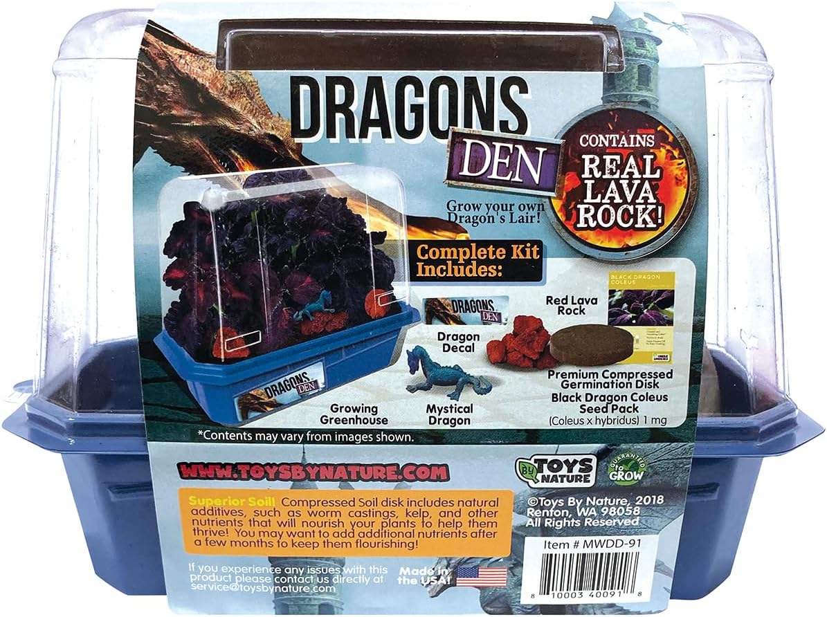 Toys By Nature Miniature Worlds Terrifying Venus Flytrap Terrarium Starter Kit for Kids and Adults, Watch Indoor Carnivorous Fly Traps Grow! Just Add Water! (Frightening Flytraps)