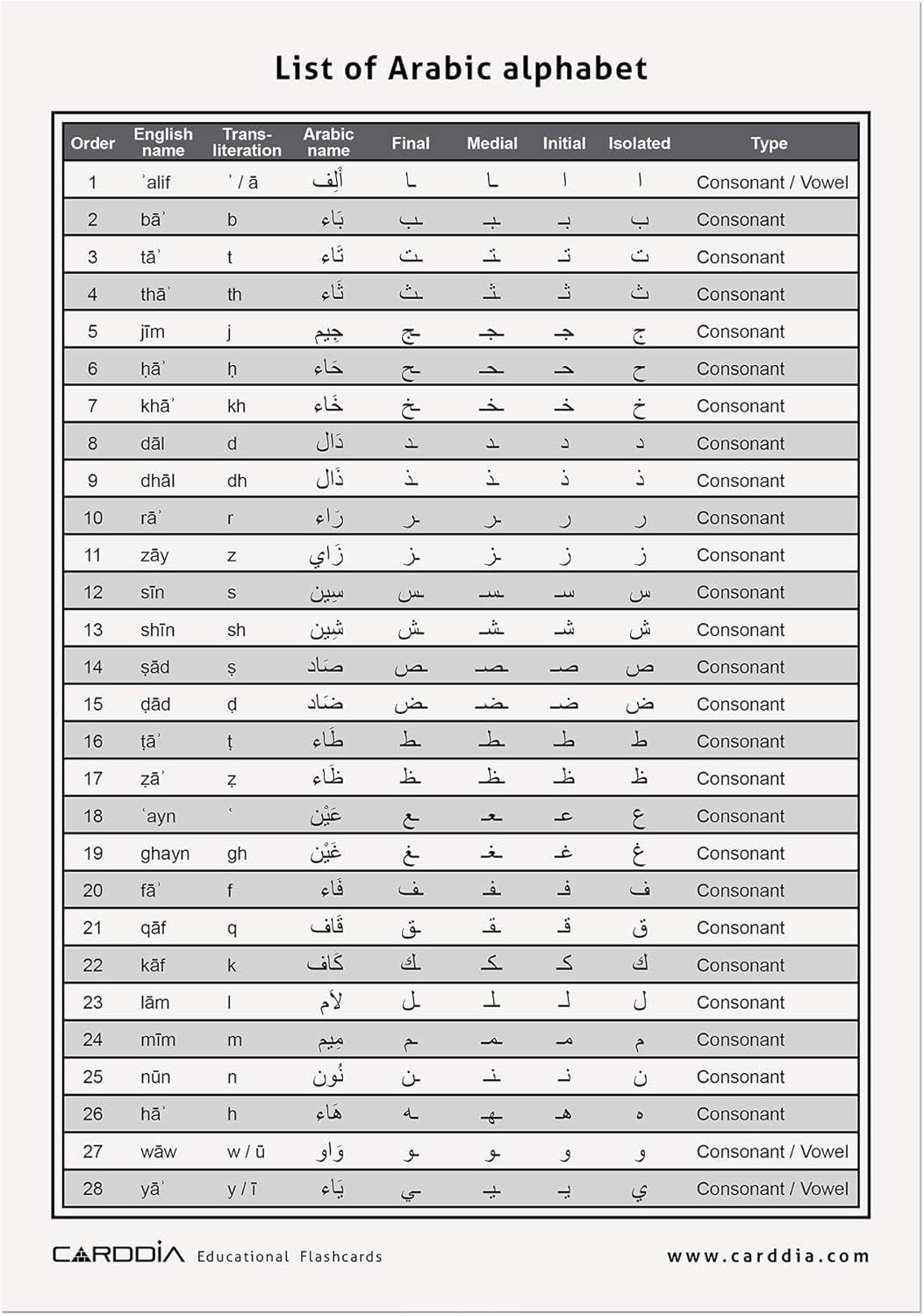 CARDDIA | Arabic Alphabet Educational Flashcards | Includes Consonants, Vowels, Diacritics and Numerals | Ideal for Arabic Language Beginners