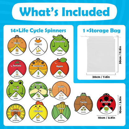 Kasfalci Life Cycle Toys for Kids,Animal Plant Insect Bug Ladybug Butterfly Tadpole to Frog Kit,Montessori Learning & Education Toys,Preschool Science Learning Activities for Toddlers,Board Card Games